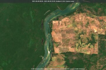 Image of the Amazon rainforest and the Xingu River in Brazil via Sentinel-2 satellite in true colors, processed with EO Browser of Sentinel Hub.